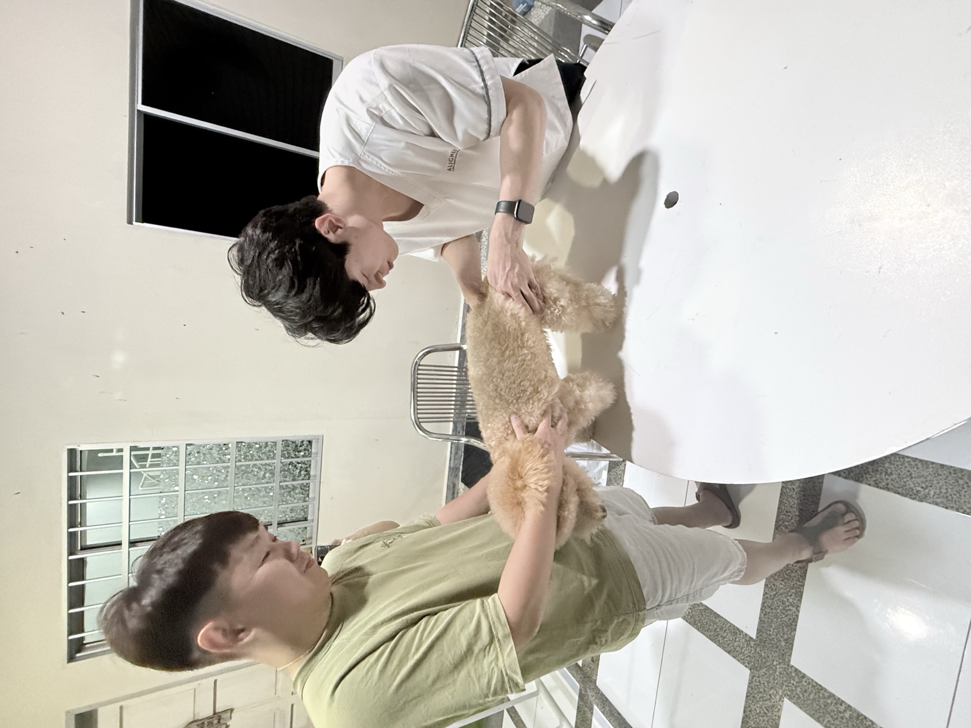 Bone Alignment with Aligned