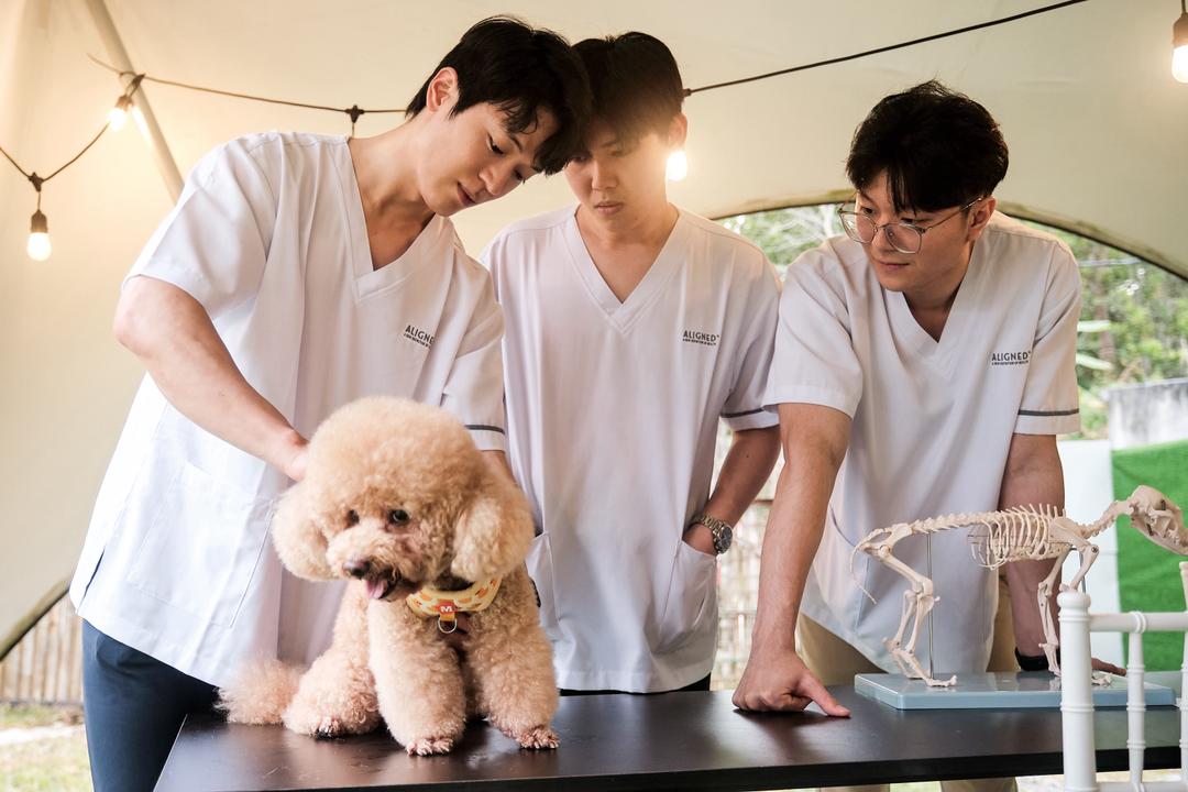 Aligned Chiropractic clinic photo 2