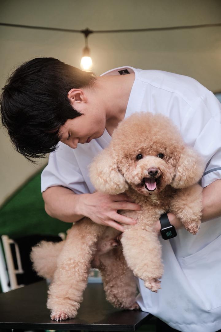 Aligned Chiropractic clinic photo 3