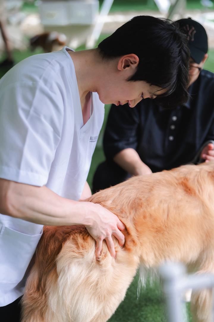 Aligned Chiropractic clinic photo 4